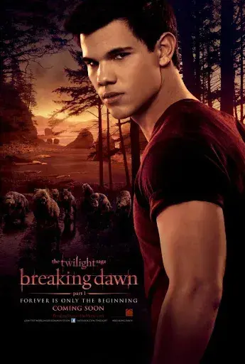 فیلم گرگ و میش: سپیده دم – قسمت اول (The Twilight Saga: Breaking Dawn - Part 1) پوستر