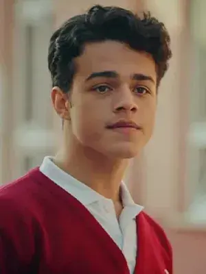 امیرهان دونمز