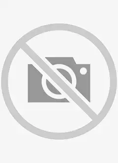 دنیس هایدن