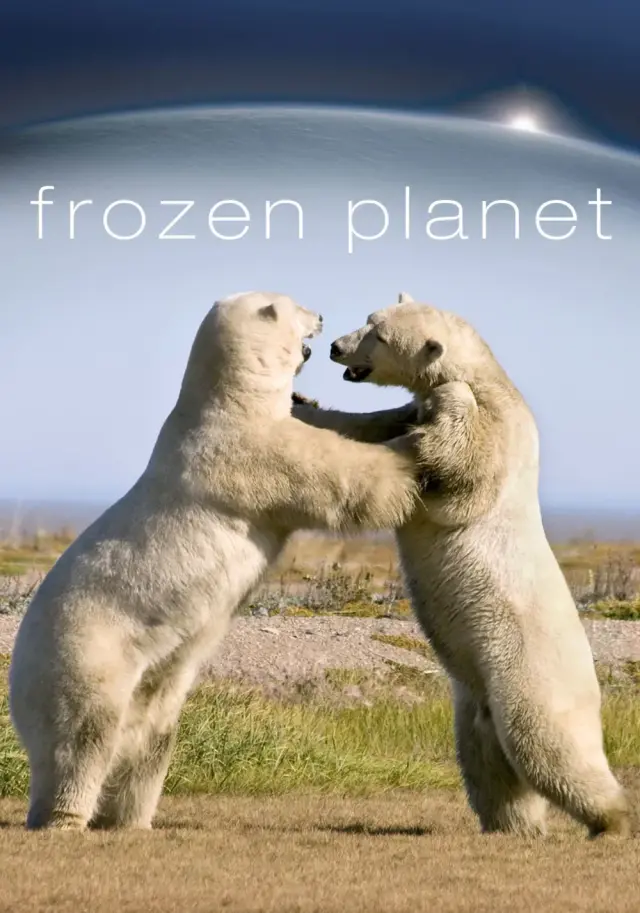 سریال سیاره یخ‌ زده (Frozen Planet) پوستر