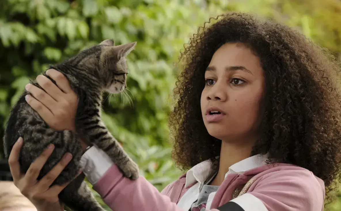 دانلود فیلم جادوی وارونه