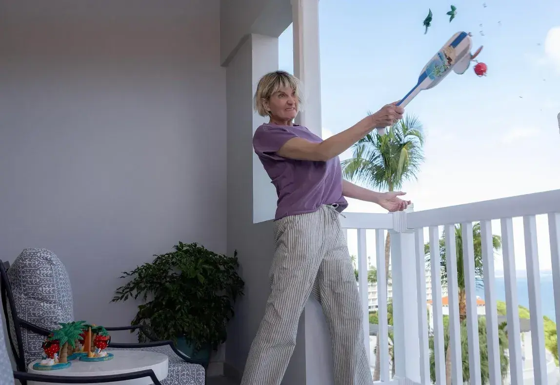 دانلود سریال چهار فصل