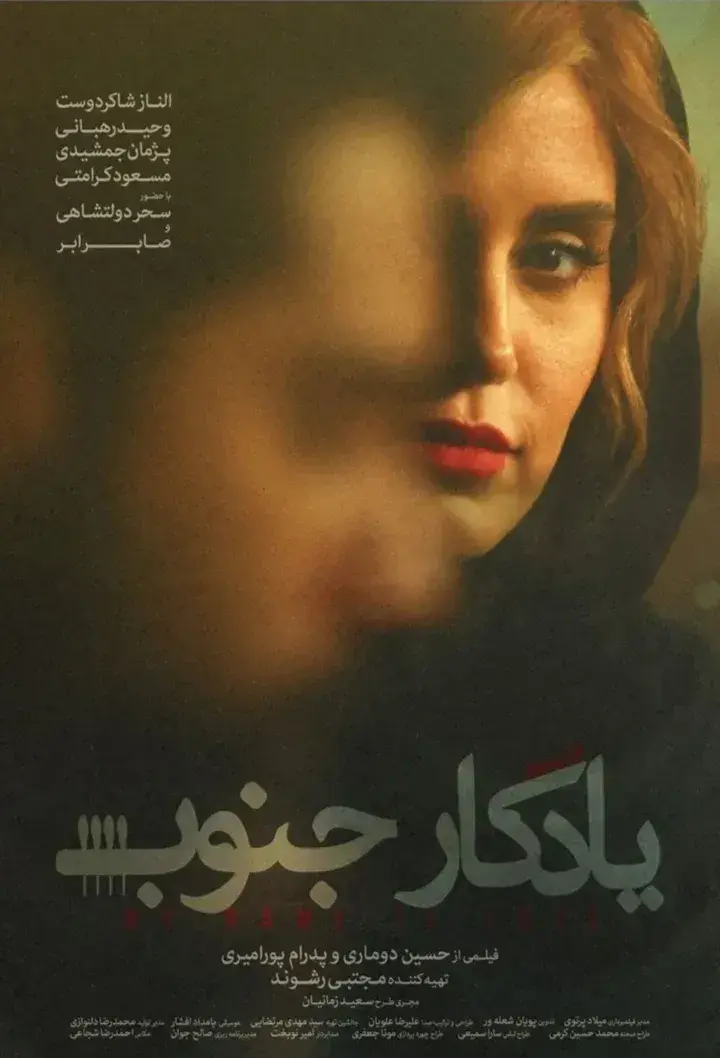فیلم یادگار جنوب