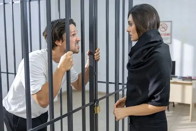 دانلود سریال همسر دیگر