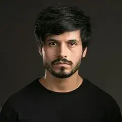 لویی دیوید هورنه