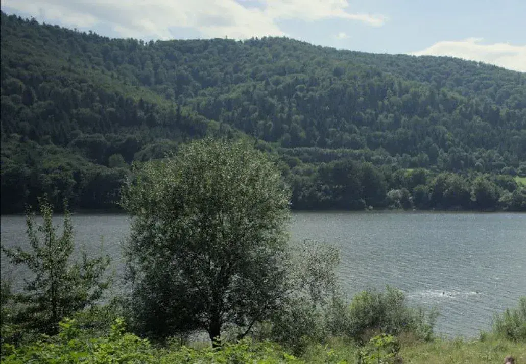 دانلود فیلم منطقه مورد علاقه