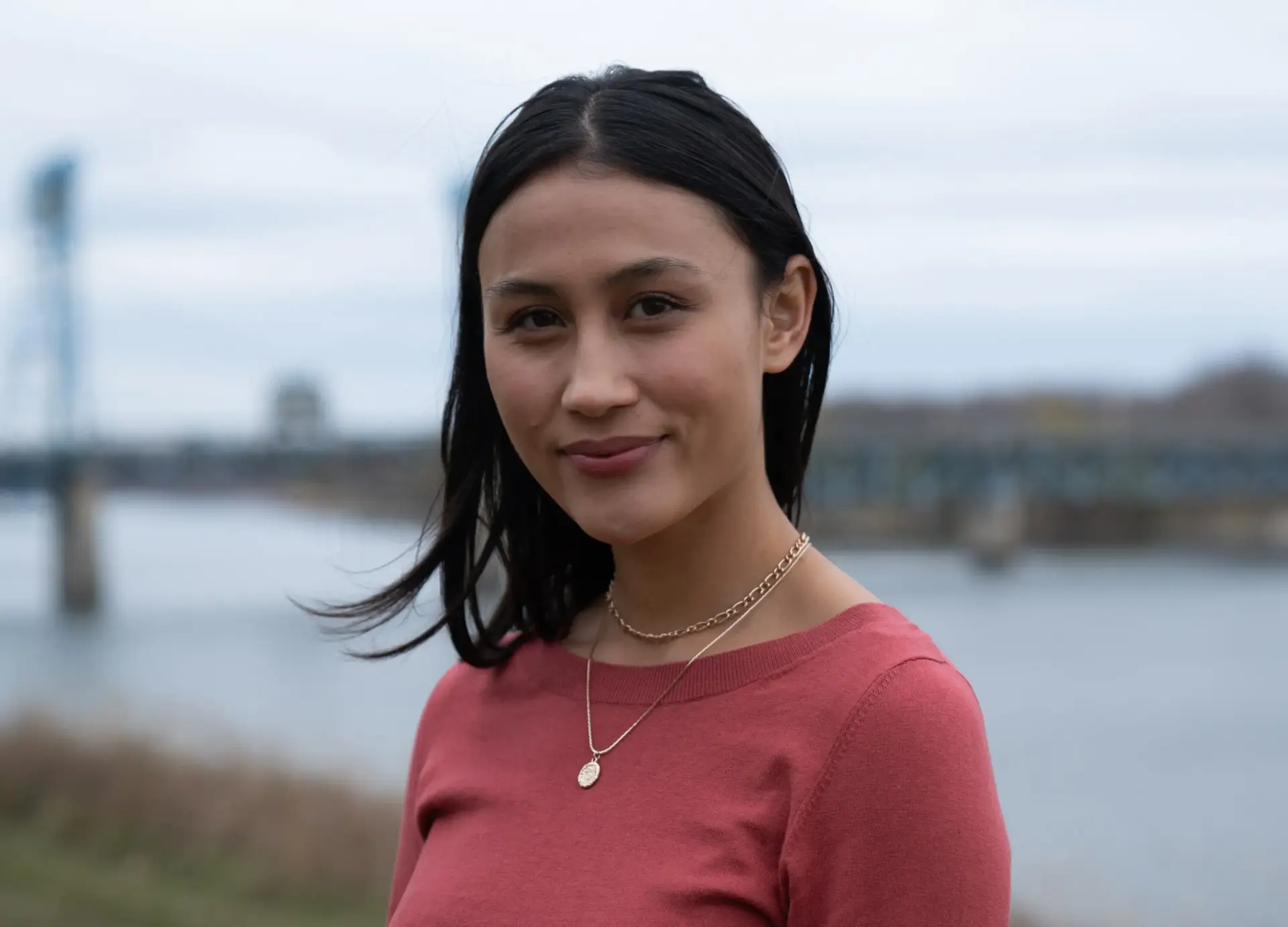 برین گودنیر