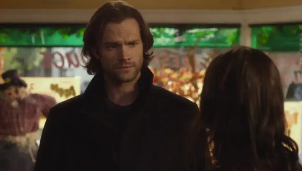 اقتباس سینمایی از رمان The Bodyguard