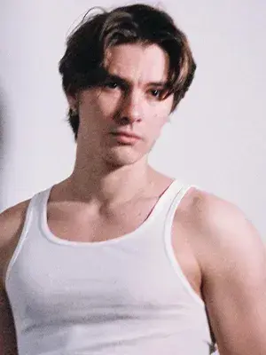 گوستاو اشمیت