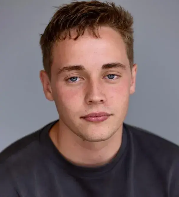 لی تایگر هالی