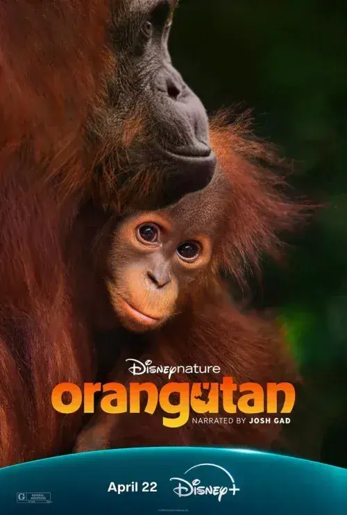 مستند مستند اورانگوتان (Orangutan) پوستر