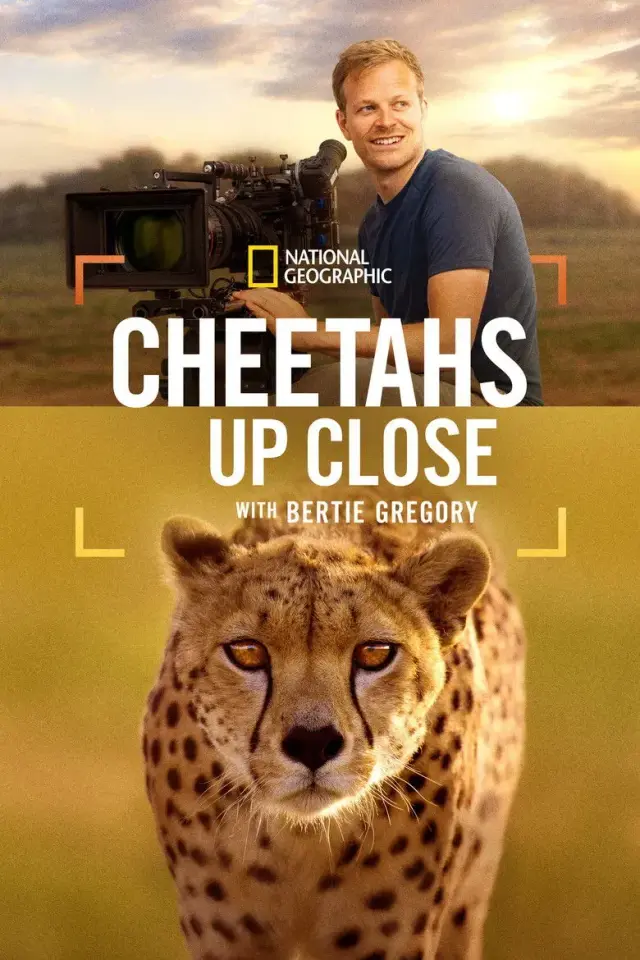 مستند یوزپلنگ ها از نزدیک با برتی گرگوری (Cheetahs Up Close with Bertie Gregory) پوستر