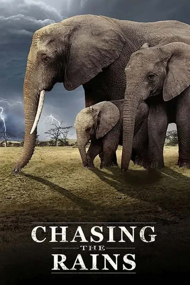 مستند در تعقیب باران (Chasing the Rains) پوستر