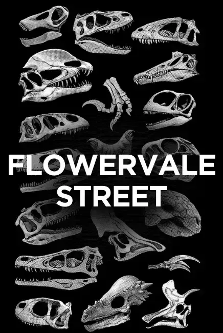 فیلم خیابان فلاورویل (Flowervale Street) پوستر